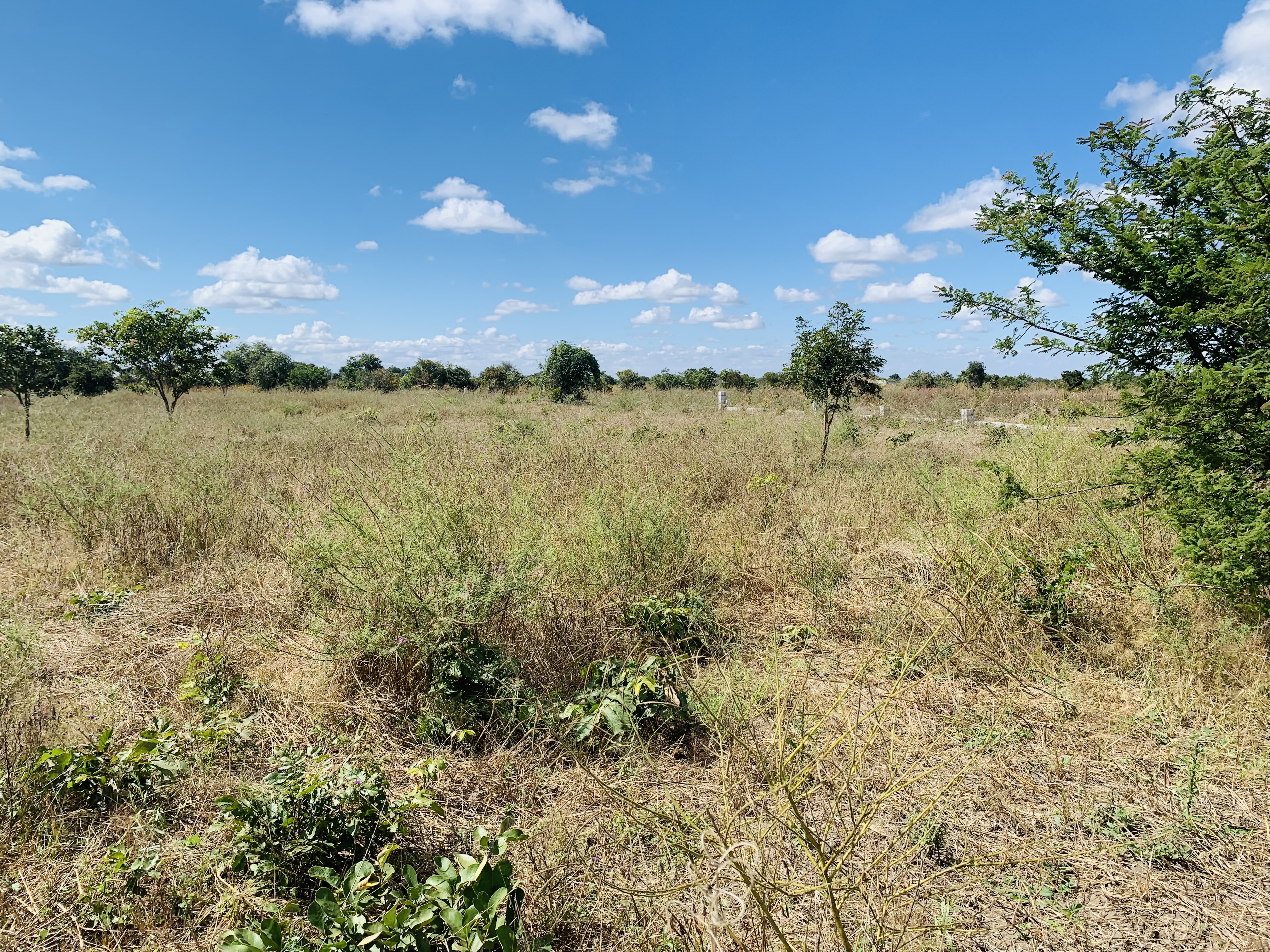 Property Thumbnail